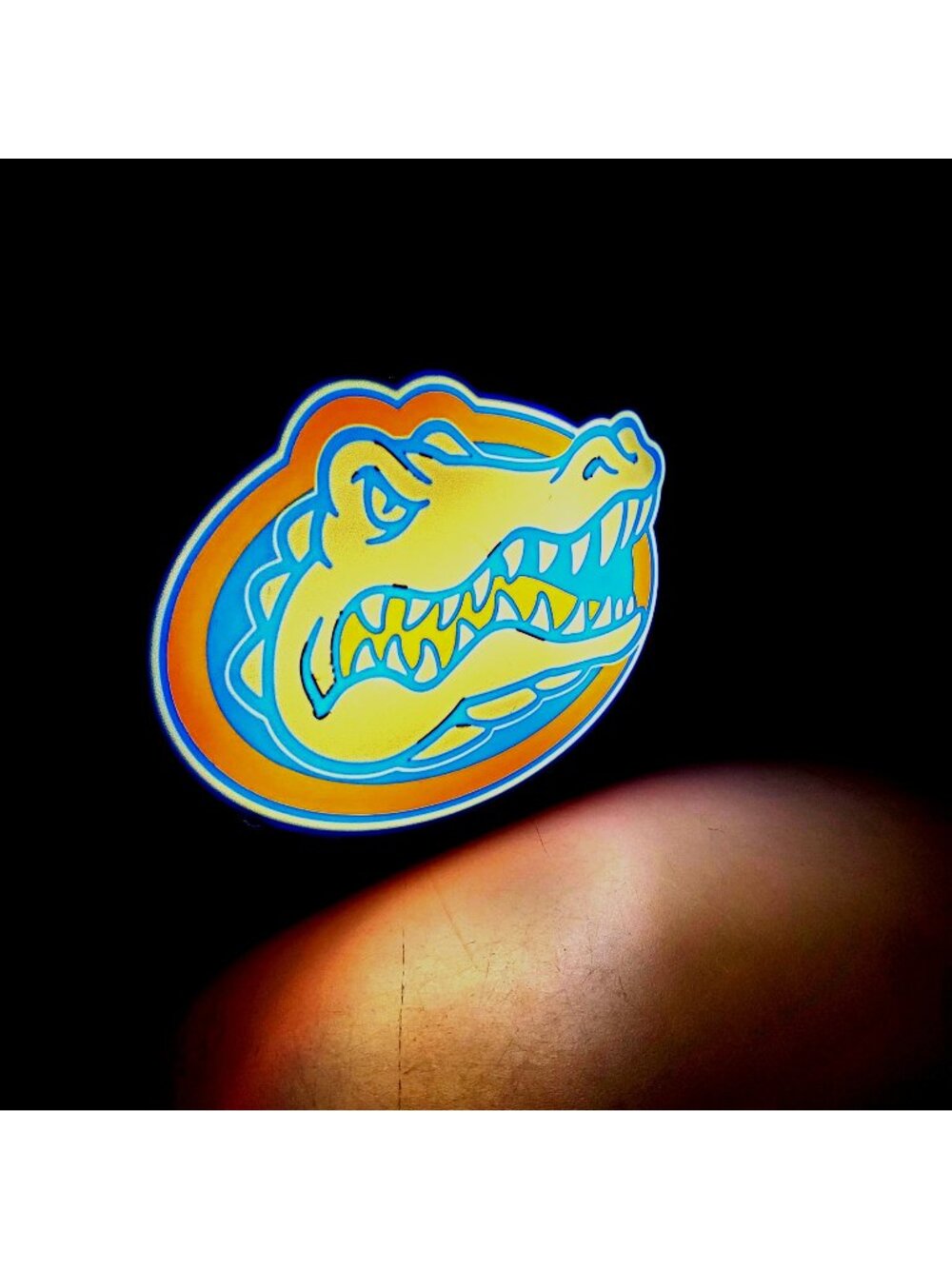 Florida Gators UF Lighted Sign - 7" x 10" LED Light Box - USB Powered with Dimme